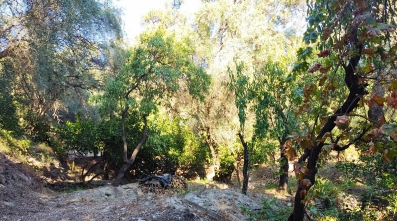 Granada - Acequias - 2000m2
