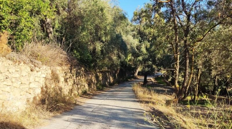 Granada - Acequias - 2000m2