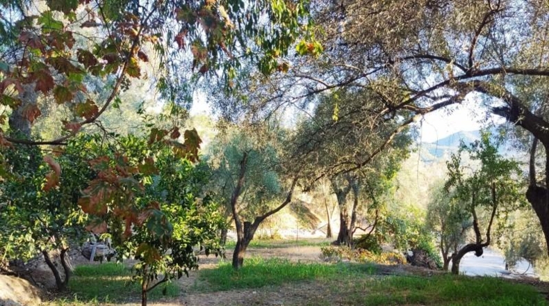 Granada - Acequias - 2000m2