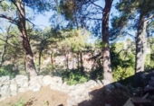 Land suitable for development for sale on España, Castellet, ref: TR174099 photo