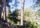 Land suitable for development for sale on España, Castellet, ref: TR174099 photo