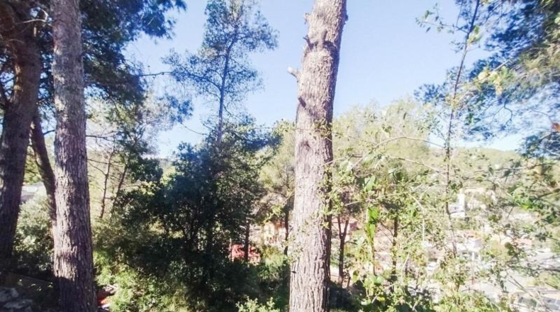 Tarragona - Cunit - 762m2