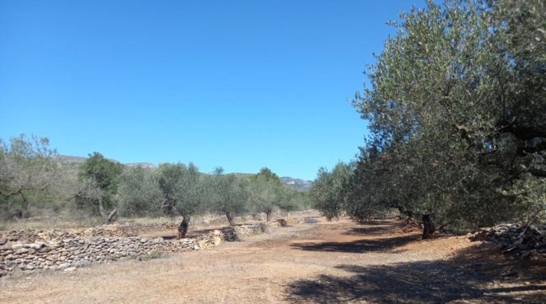 Tarragona - Rasquera - 2340m2