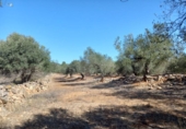 Terreno no urbanizable en venta en la España, Rasquera, ref: TR179506 foto