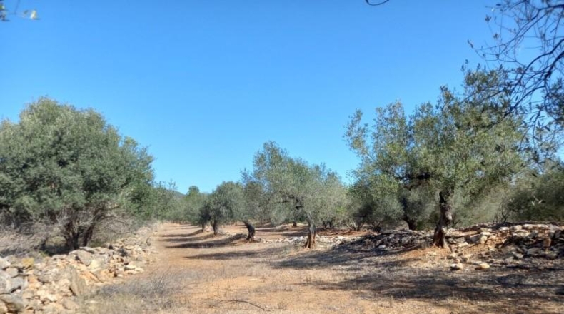 Tarragona - Rasquera - 2340m2