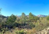 Terreno no urbanizable en venta en la España, Rasquera, ref: TR128870 foto
