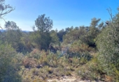 Terreno no urbanizable en venta en la España, Rasquera, ref: TR128870 foto