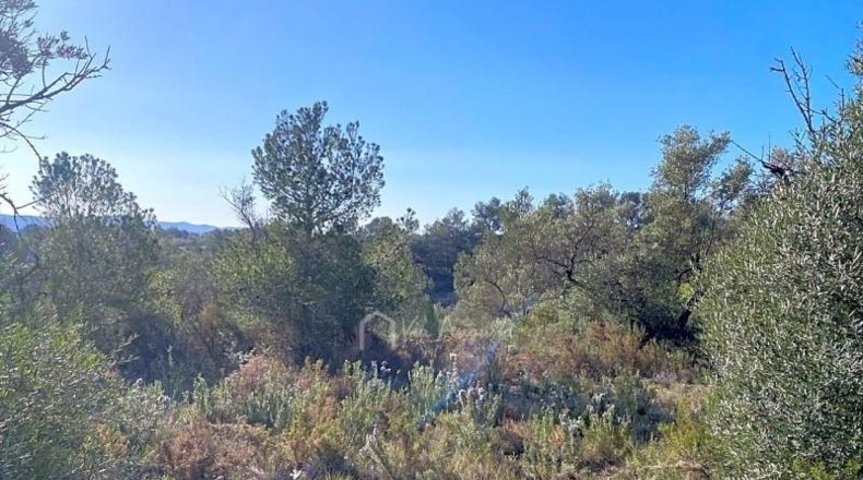 Tarragona - Rasquera - 8155m2