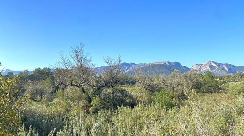 Tarragona - Rasquera - 8155m2