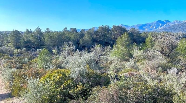Tarragona - Rasquera - 8155m2