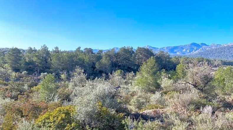 Tarragona - Rasquera - 8155m2