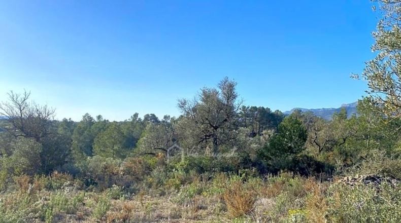 Tarragona - Rasquera - 8155m2