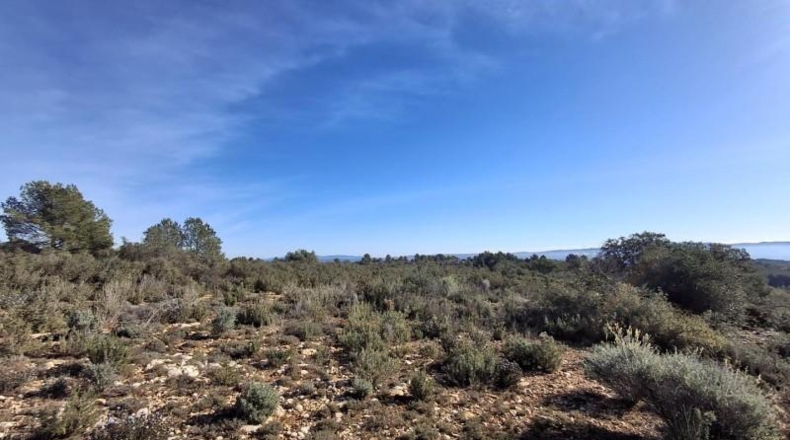 Castellón - Benlloch - 4455m2