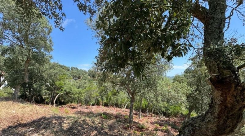 Жирона - Llagostera - 603m2