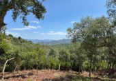 Suelo urbano en venta en la España, Llagostera, ref: TR411049 foto