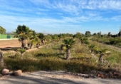 Terreno no urbanizable en venta en la España, Puçol, ref: TR118984 foto