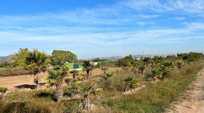València - Puzol - 786m2