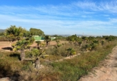 Terreno no urbanizable en venta en la España, Puçol, ref: TR118984 foto