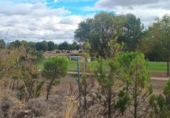 Terreno no urbanizable en venta en la España, Calatayud, ref: TR350795 foto