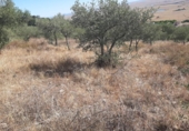 Terreno no urbanizable en venta en la España, Cáceres, ref: TR123490 foto