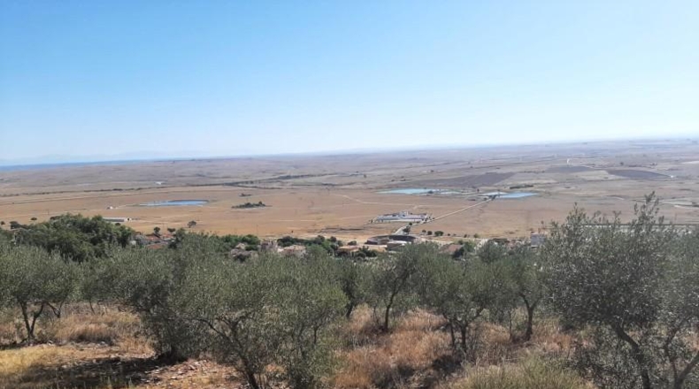 Cáceres - Cáceres - 6650m2