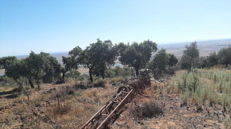 Cáceres - Cáceres - 6650m2