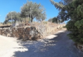 Terreno no urbanizable en venta en la España, Cáceres, ref: TR123490 foto