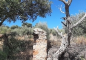 Terreno no urbanizable en venta en la España, Cáceres, ref: TR123490 foto