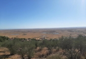 Terreno no urbanizable en venta en la España, Cáceres, ref: TR123490 foto