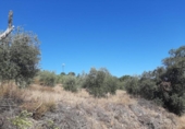 Terreno no urbanizable en venta en la España, Cáceres, ref: TR123490 foto