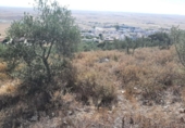 Terreno no urbanizable en venta en la España, Cáceres, ref: TR123490 foto