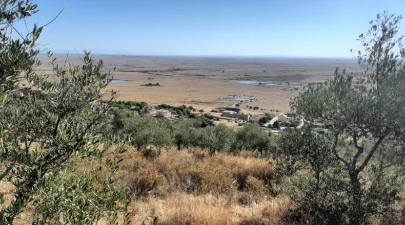 Cáceres - Cáceres - 6650m2