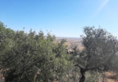 Terreno no urbanizable en venta en la España, Cáceres, ref: TR123490 foto