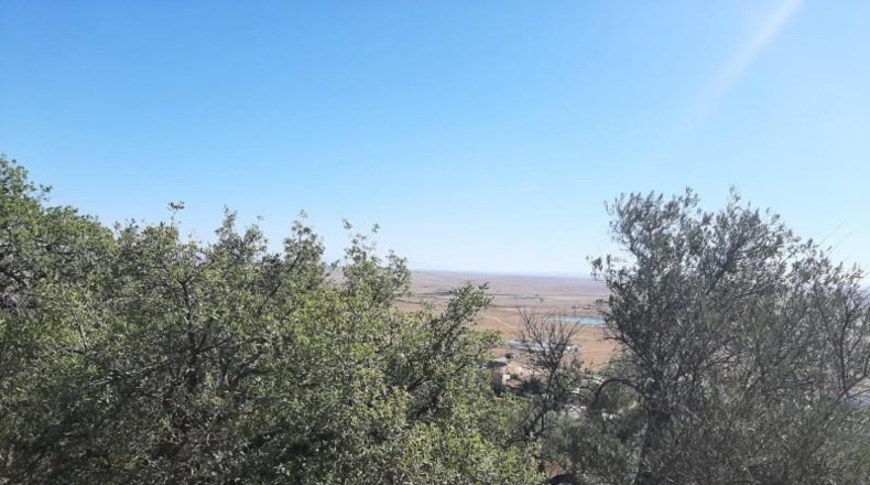 Cáceres - Cáceres - 6650m2