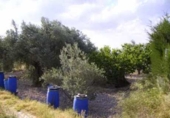 Terreno no urbanizable en venta en la España, Calasparra, ref: TR119418 foto