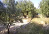 Terreno no urbanizable en venta en la España, Calasparra, ref: TR119418 foto
