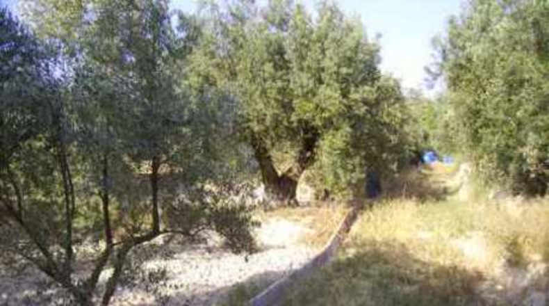 Múrcia - Calasparra - 1208m2