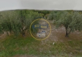 Parcela urbanizable en venta en la España, Ontinyent, ref: TR237308 foto