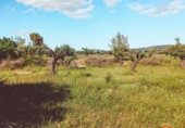 Terreno no urbanizable en venta en la España, Ulldecona, ref: TR313501 foto