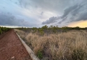 Terreno no urbanizable en venta en la España, Alginet, ref: TR130246 foto