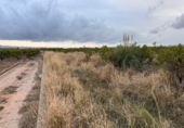 Terreno no urbanizable en venta en la España, Alginet, ref: TR130246 foto