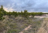Terreno no urbanizable en venta en la España, Alginet, ref: TR130246 foto
