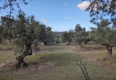 Terreno no urbanizable en venta en la España, Arens de Lledó, ref: TR295083 foto