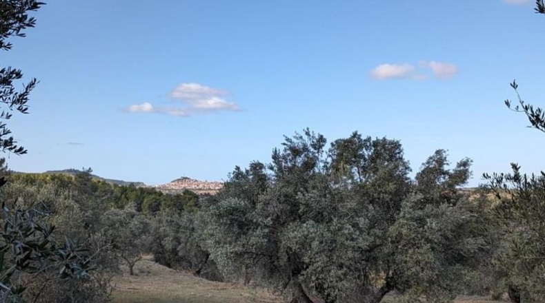 Teruel - Аренс де Льедо - 25781m2
