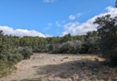 Terreno no urbanizable en venta en la España, Arens de Lledó, ref: TR295083 foto