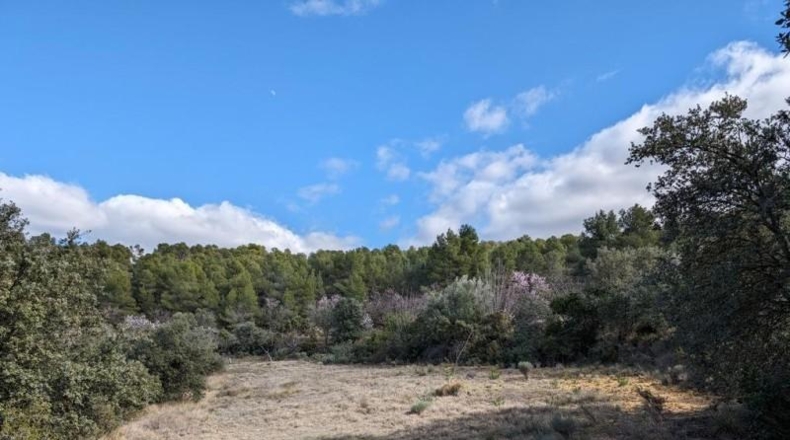 Teruel - Аренс де Льедо - 25781m2
