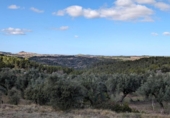 Terreno no urbanizable en venta en la España, Arens de Lledó, ref: TR295083 foto
