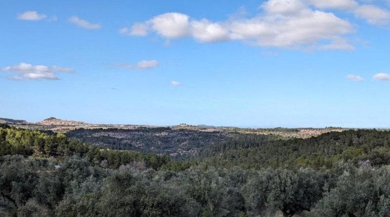 Teruel - Аренс де Льедо - 25781m2