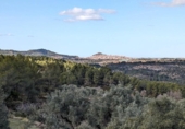 Terreno no urbanizable en venta en la España, Arens de Lledó, ref: TR295083 foto
