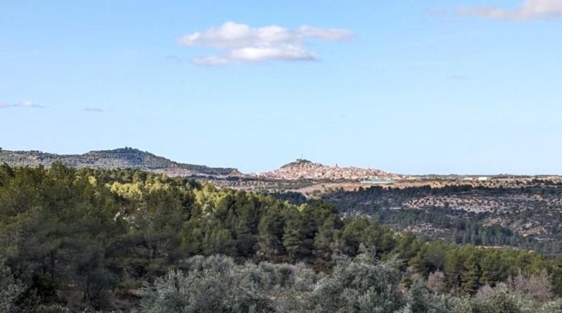 Teruel - Аренс де Льедо - 25781m2